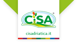 Logo Cisa